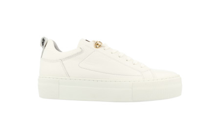 Women Low Cut Sneaker 36