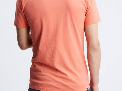 DENHAM APPLIQUE TEE MOJ S